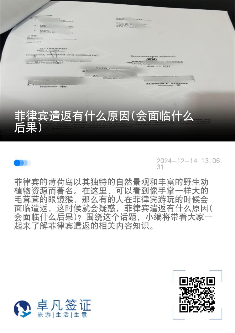 菲律宾遣返有什么原因(会面临什么后果)