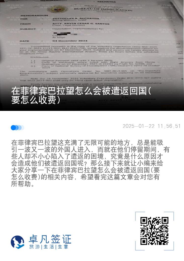 在菲律宾巴拉望怎么会被遣返回国(要怎么收费)